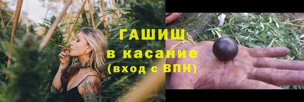 гашик Алексин