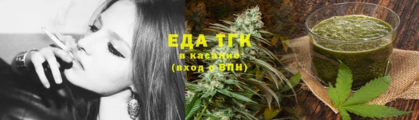 спайс Алзамай