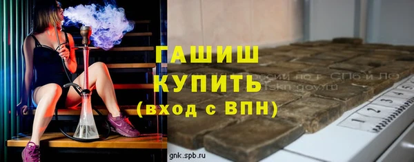 гашик Алексин