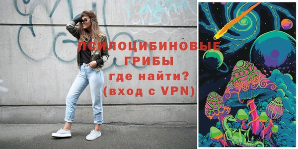 прущие грибы Алексеевка
