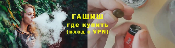 гашик Алексин