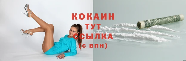 спайс Алзамай