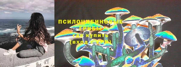 прущие грибы Алексеевка