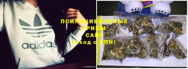 спайс Алзамай
