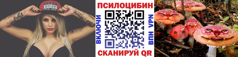 мориарти как зайти  Медынь  Псилоцибиновые грибы MAGIC MUSHROOMS  наркотики 